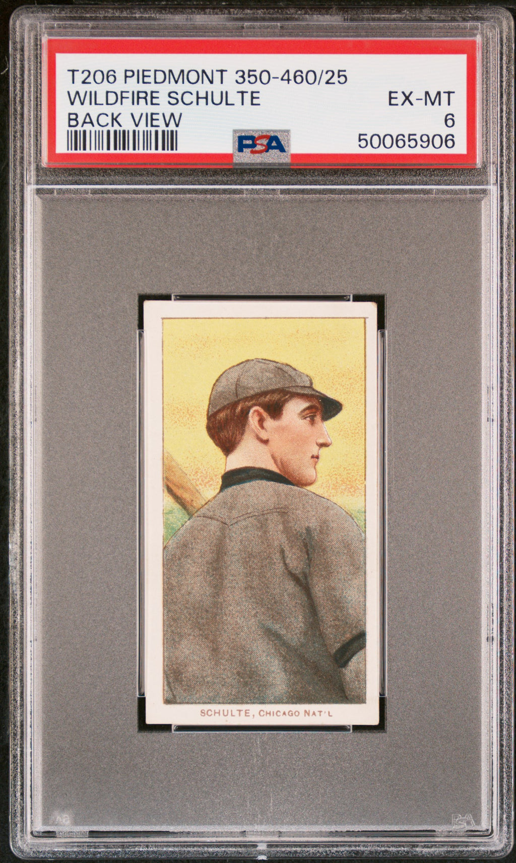 1909-11 T206 Wildfire Schulte PSA 6 EX-MT Piedmont 350-460/25-Back View Chicago
