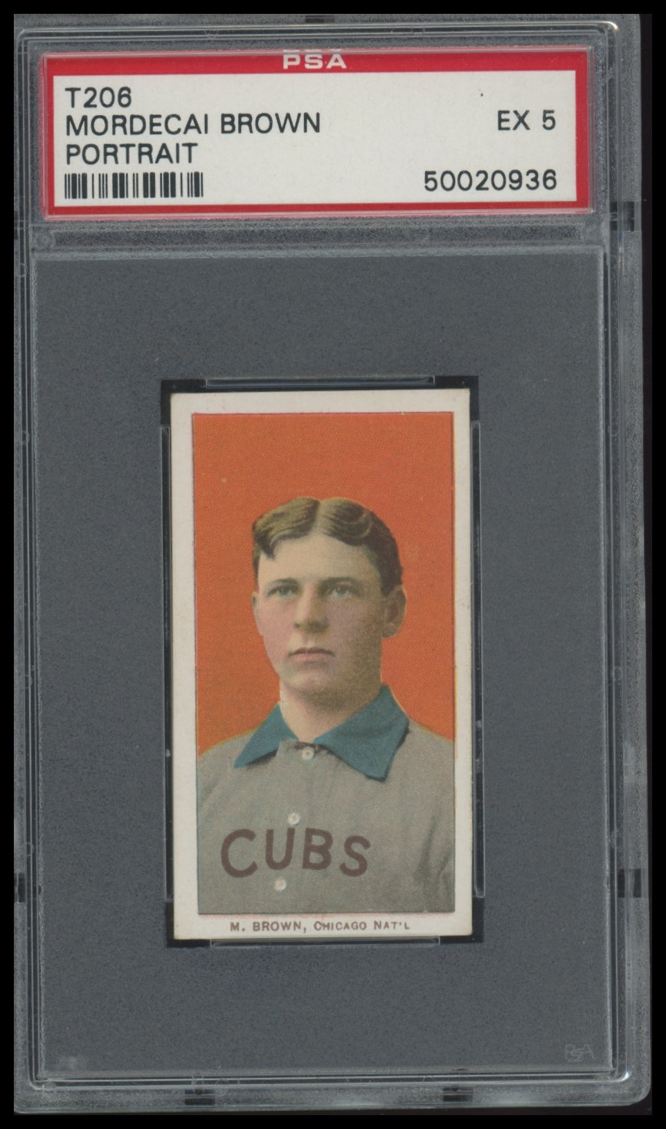 1909-11 T206 Mordecai Brown Portrait PSA 5 Sweet Caporal 350/25